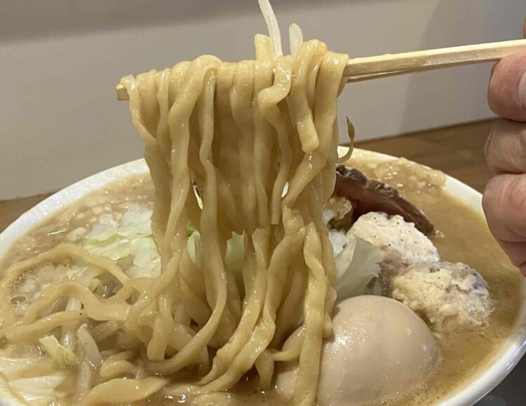 天理市「麺場力皇」力皇ラーメン全部のせ　麺アップ写真
