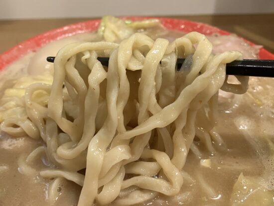 桜井市「麺場力皇」濃厚みそラーメンの麺