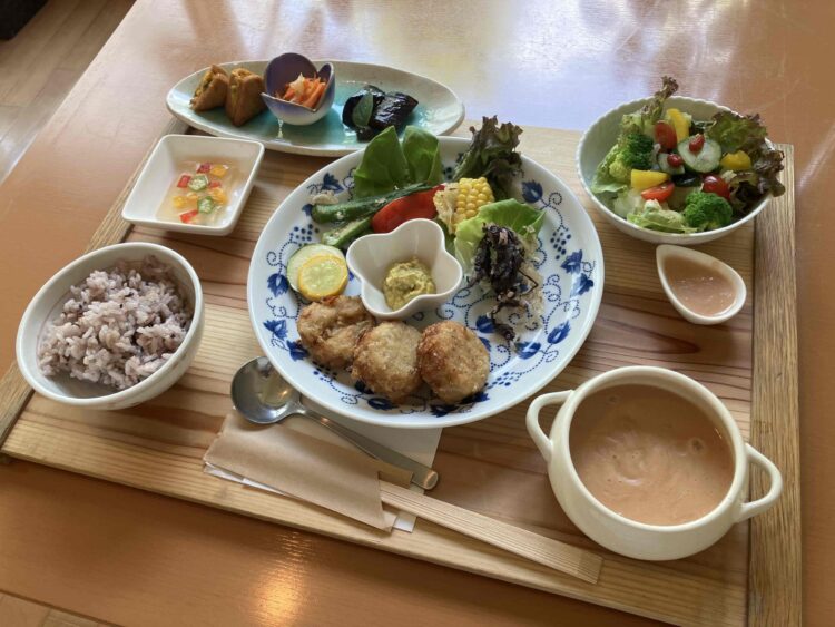 グランソール奈良「人間ドック後の食事」全体写真