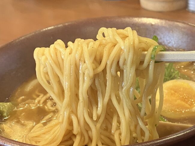 奈良市「豚竹林」カレーラーメン麺アップ写真