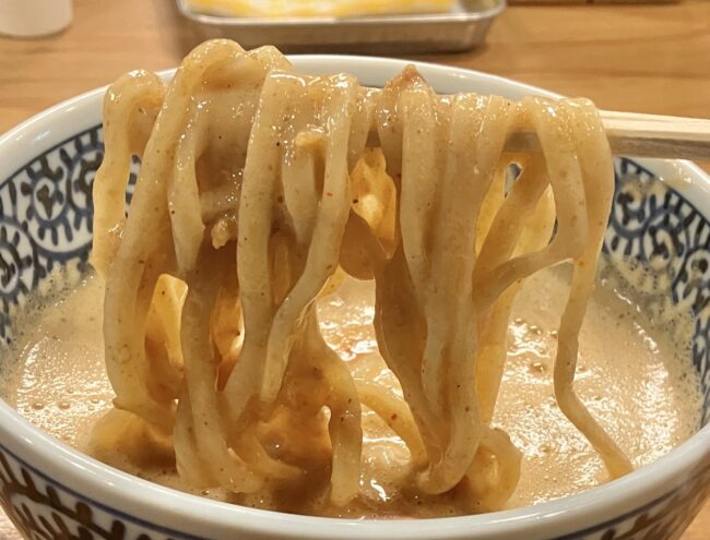 橿原市「つけ麺いちびり」麺アップ写真②