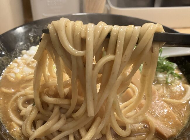 奈良市「麺屋Ｋ」カレーラーメン麺アップ写真