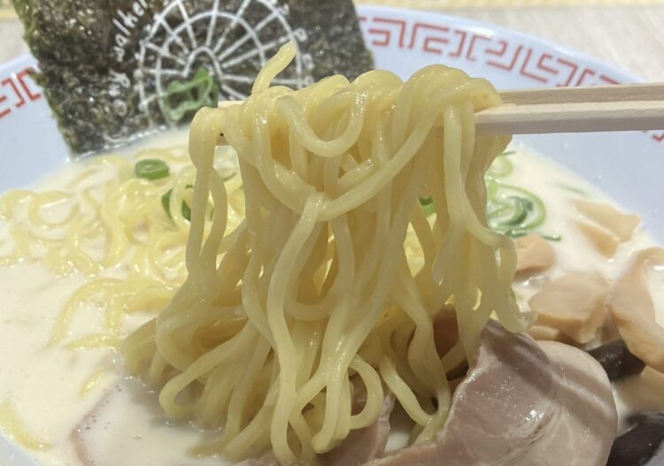 ひらかたパークのめんこいや「とんこつらーめん」麺アップ写真