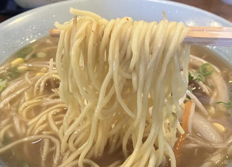 宇陀市「さっぽろらうめん」高原しお野菜らーめん麺アップ写真