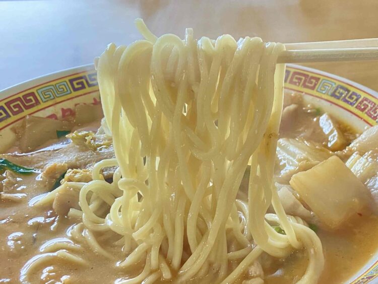 天理スタミナラーメン「スタミナラーメン」麺アップ写真