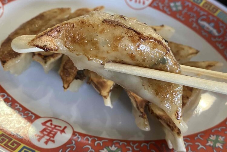 天理スタミナラーメンの餃子アップ写真