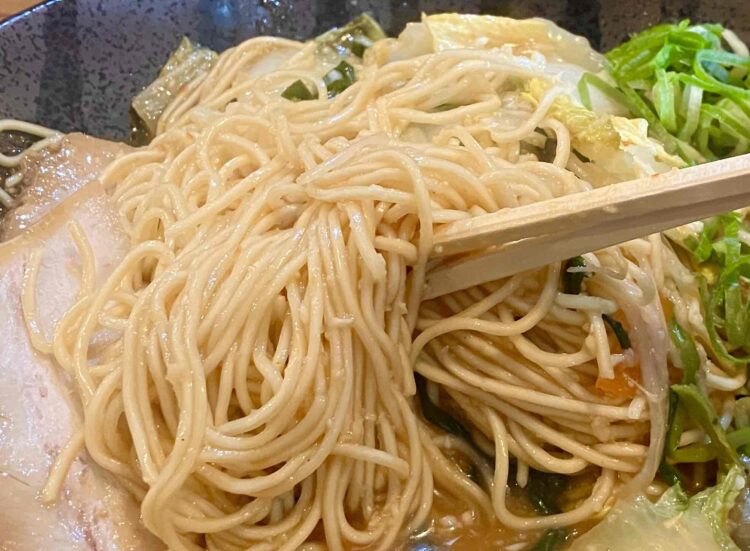 田原本・走麺屋「汁なしスタミナラーメン」麺アップ写真