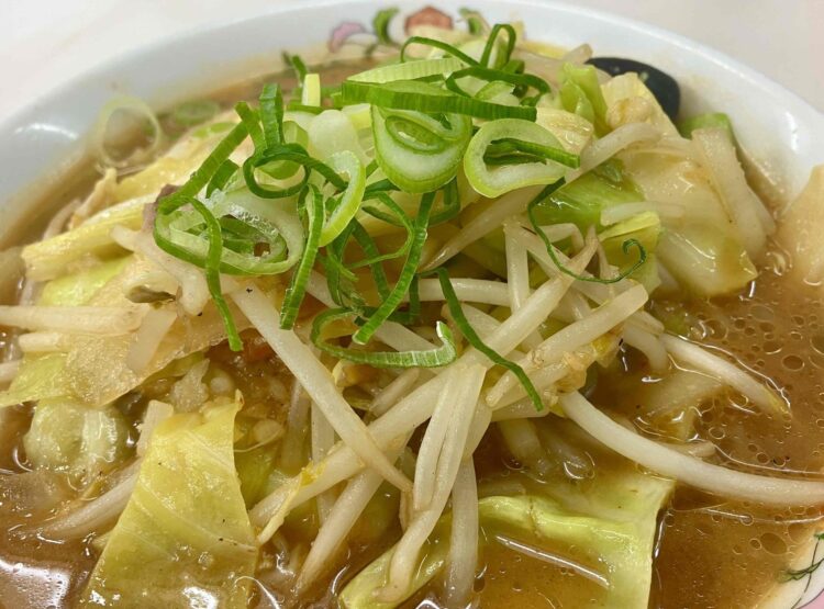 餃子の王将「野菜煮込みラーメン」アップ写真