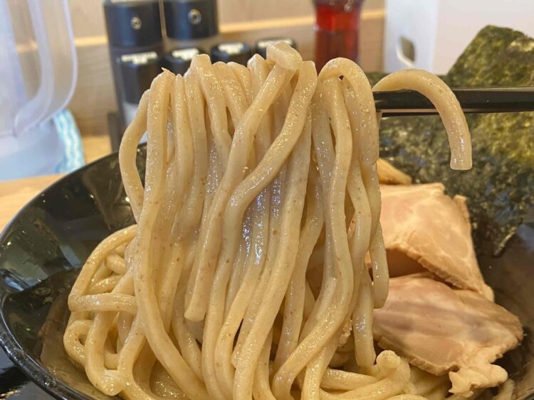 奈良・橿原の麺屋たけ井「特製つけ麺」麺アップ写真