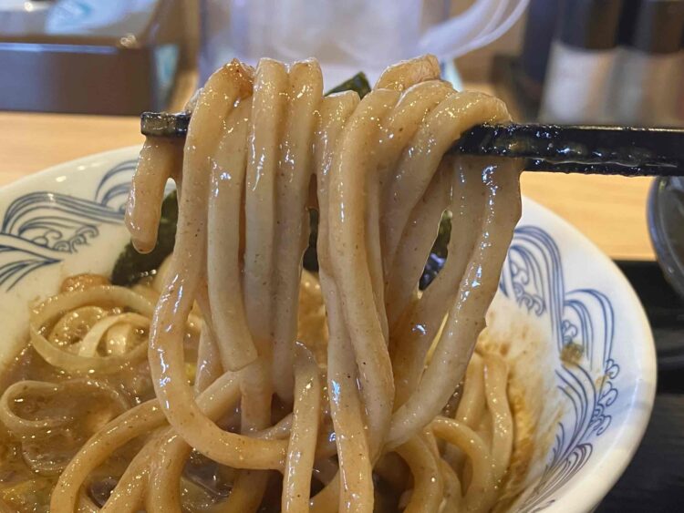 奈良・橿原の麺屋たけ井「特製つけ麺」麺いただきます写真