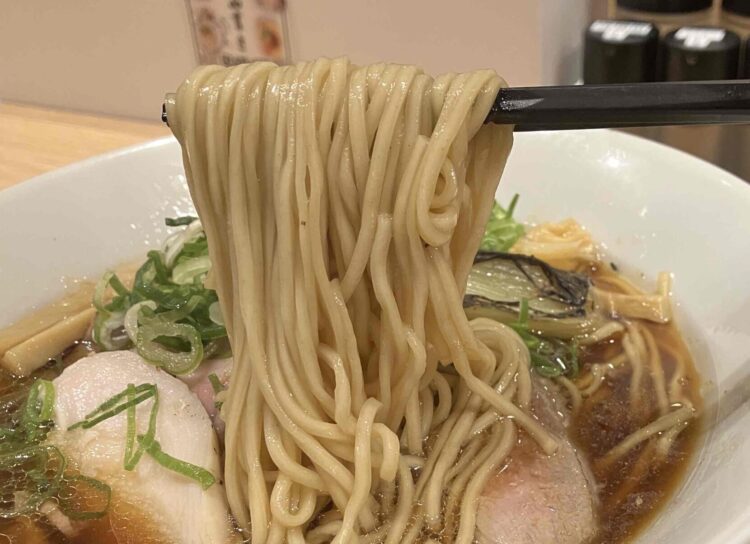 麺屋たけ井「京風鶏鴨ラーメン濃い口仕上げ 特製盛りセット」麺アップ写真
