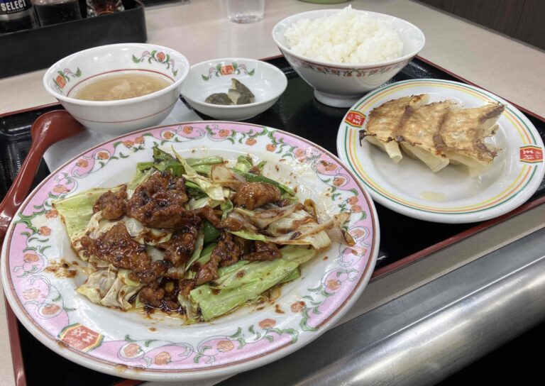 餃子の王将「中華セットB」全体写真
