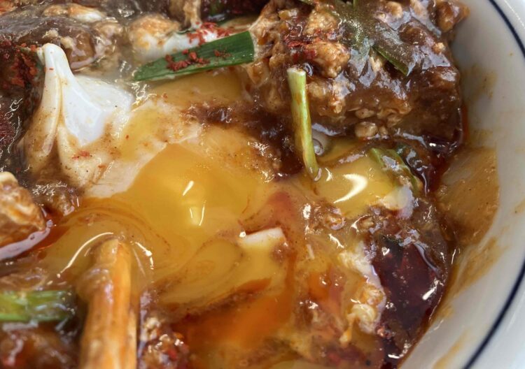 かつや「カレーカツ丼」アップ写真②