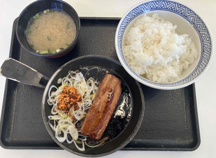 吉野家「牛角煮定食」全体写真