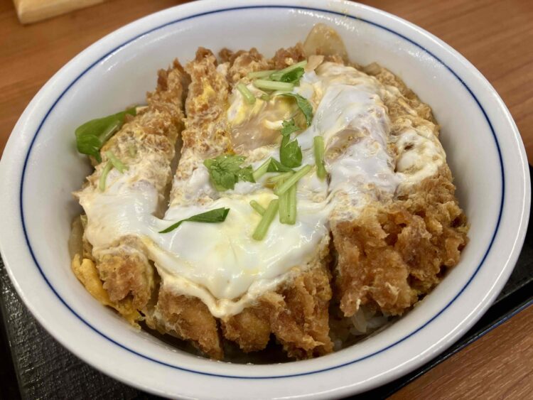 全力飯かつや「カツ丼(梅)」全体写真②